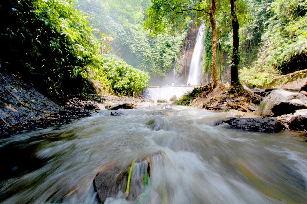 Bali Bening Hotell Munduk Exteriör bild